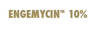 Logo Engemycin 10%