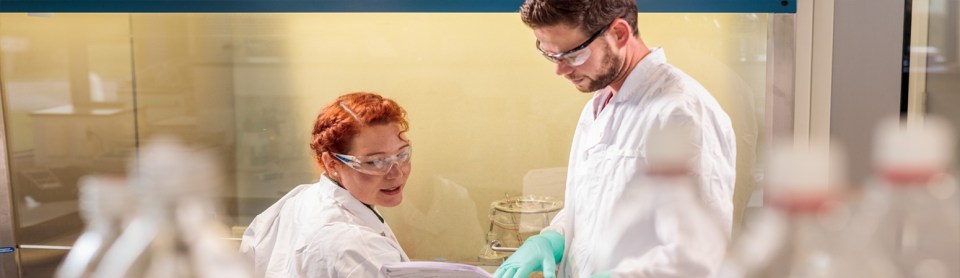 Workers in laboratory