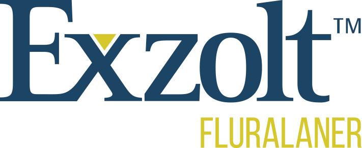 Logo Exzolt